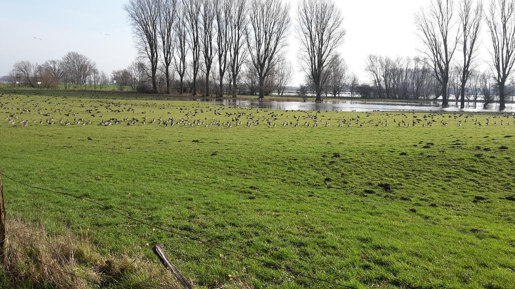 Ferienwohnung Eulenturm Xanten Luaran gambar